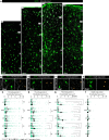 Figure 2—figure supplement 2.