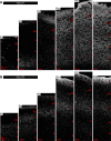 Figure 3—figure supplement 1.