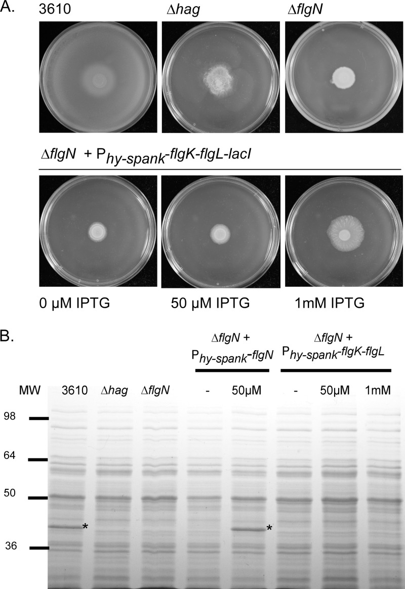 FIG 6