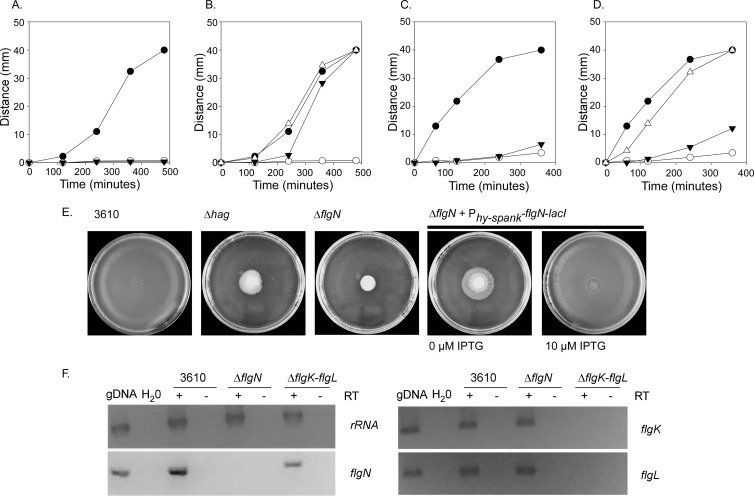 FIG 2