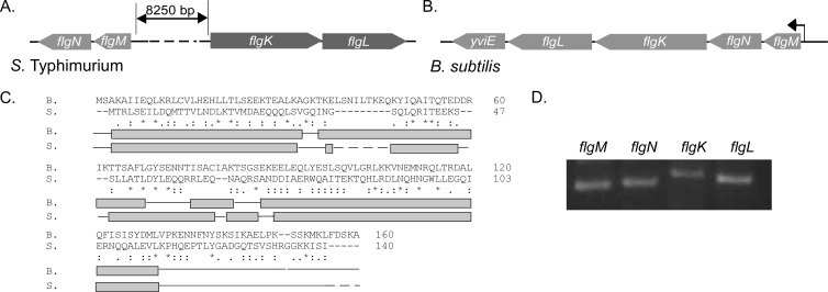 FIG 1