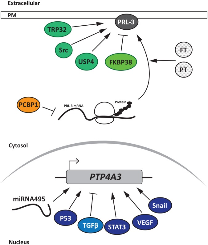 Figure 2.