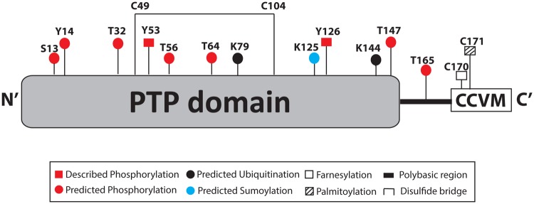 Figure 1.