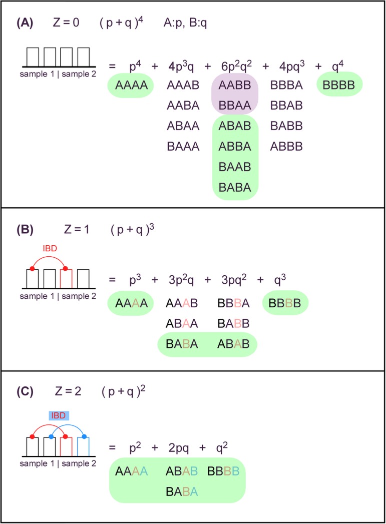 Fig 1