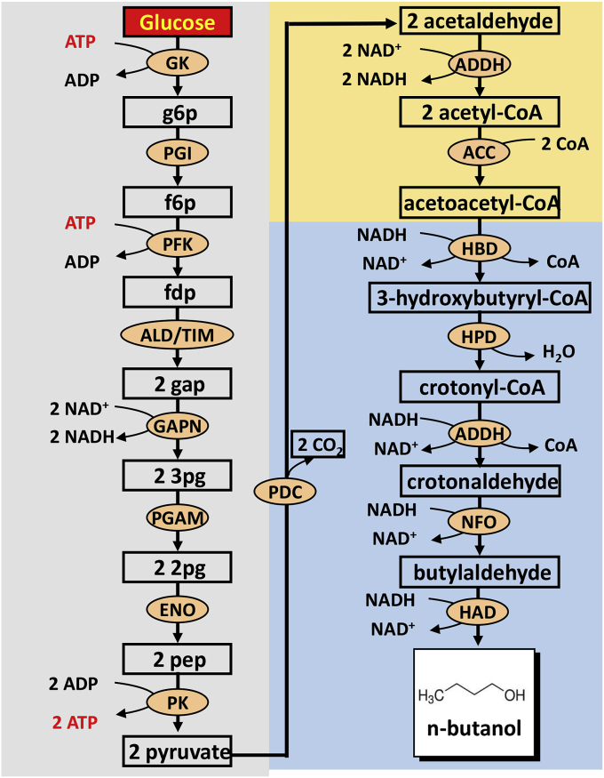 Fig. 6