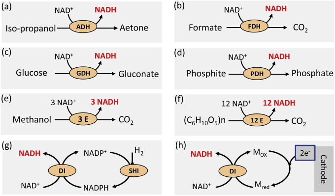 Fig. 2