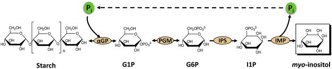 Fig. 4