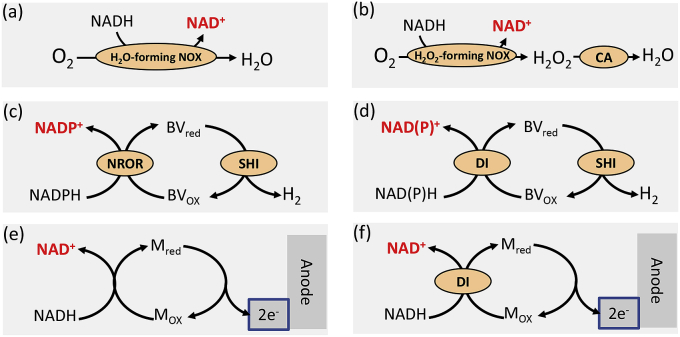 Fig. 3