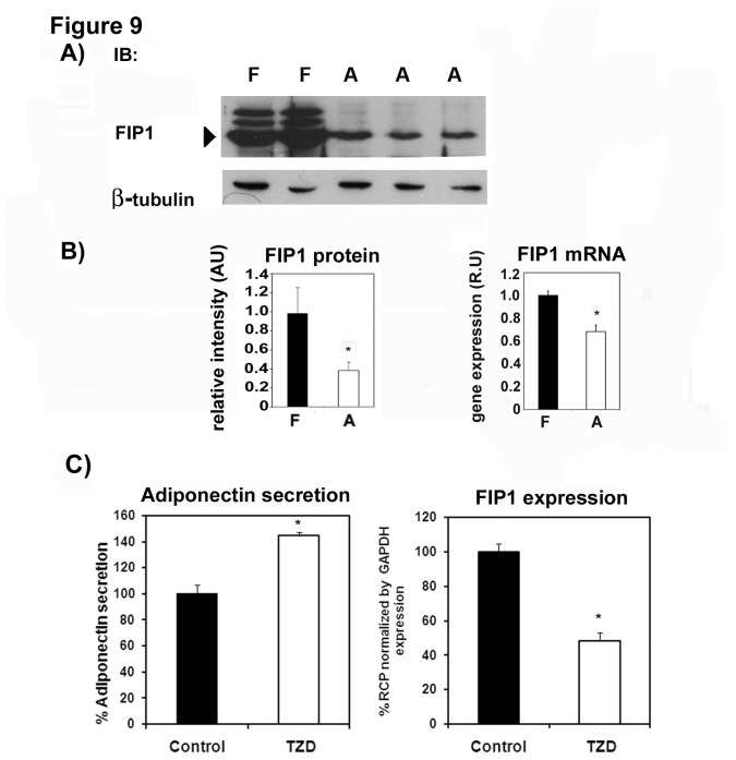 Figure 9