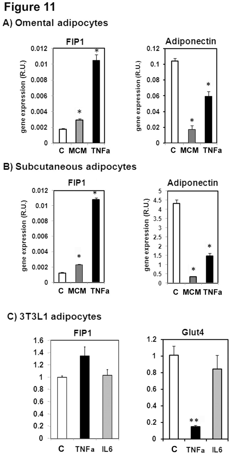 Figure 11