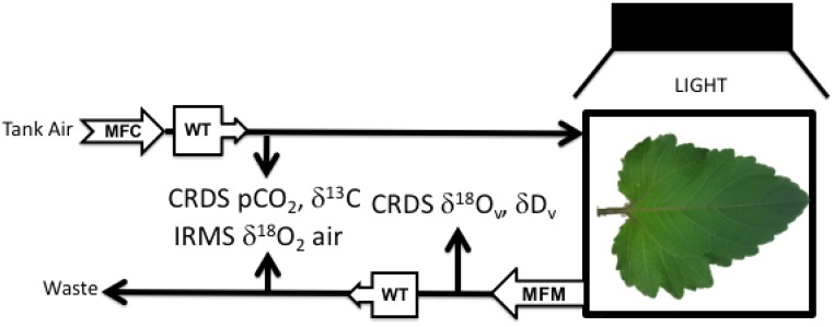 Figure 6.