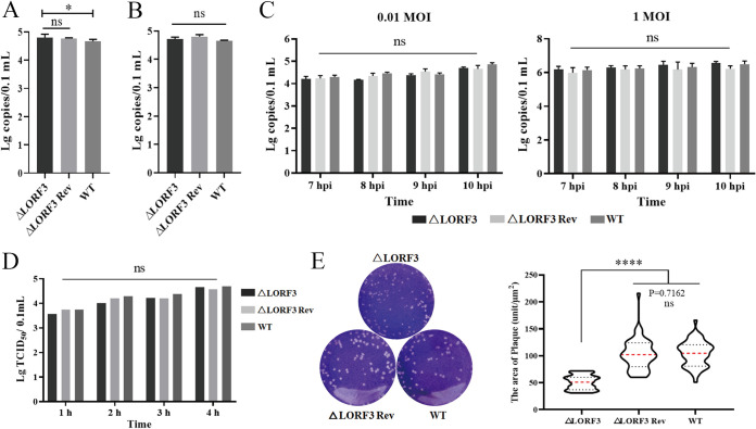 FIG 6