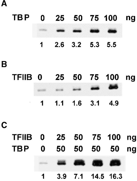 Figure 5.