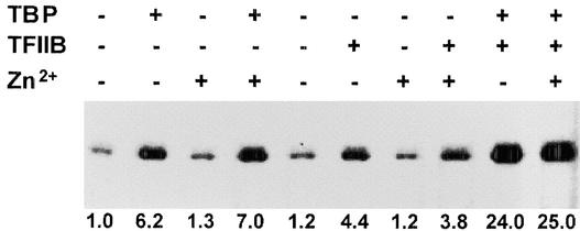 Figure 4.