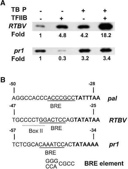 Figure 6.