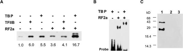 Figure 7.