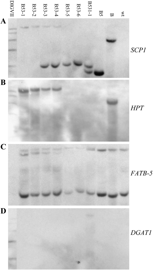 Figure 6.