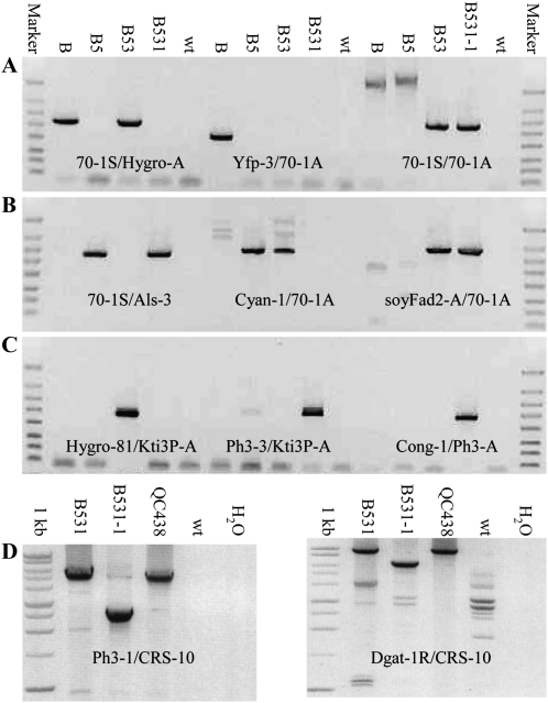 Figure 5.