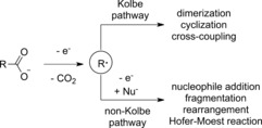 Scheme 15