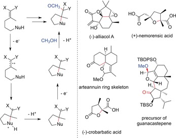 Scheme 52