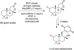 Scheme 62