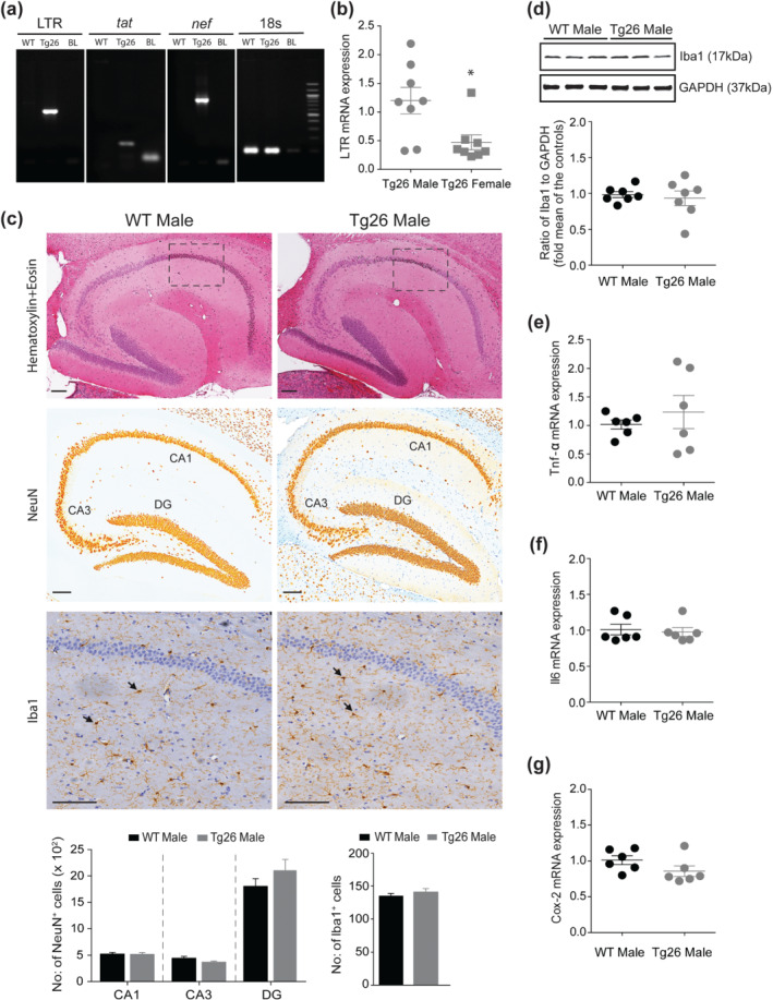 FIGURE 3