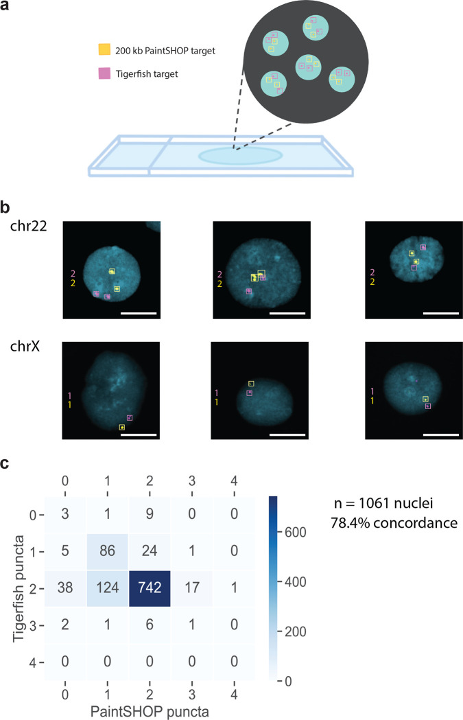 Fig. 4 |