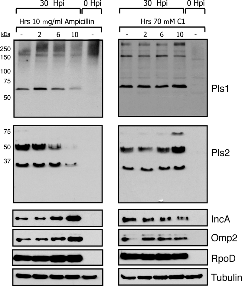 FIG. 5.