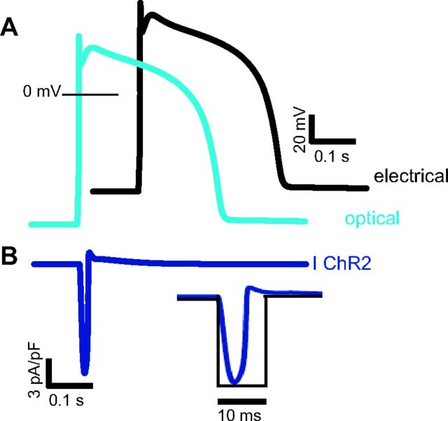 Fig. 3.