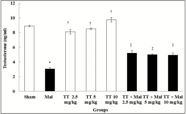 Graph 3