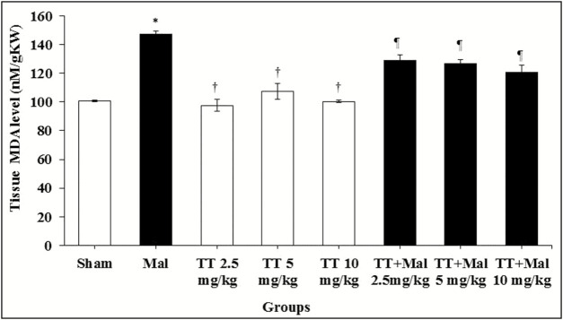 Graph 4