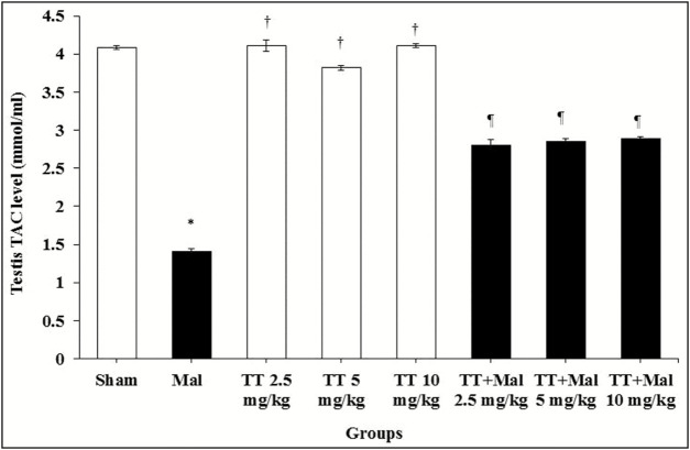 Graph 5