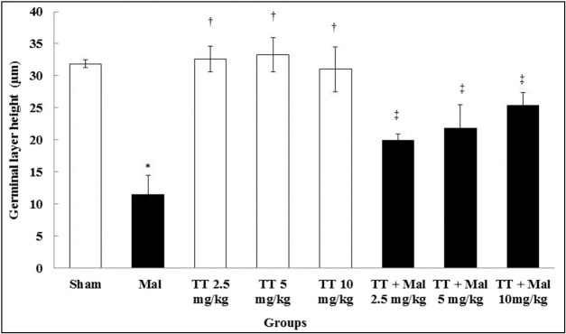 Graph 2