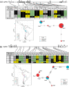 Figure 4—figure supplement 2.