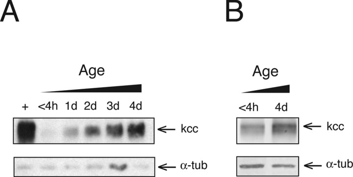 Figure 9.