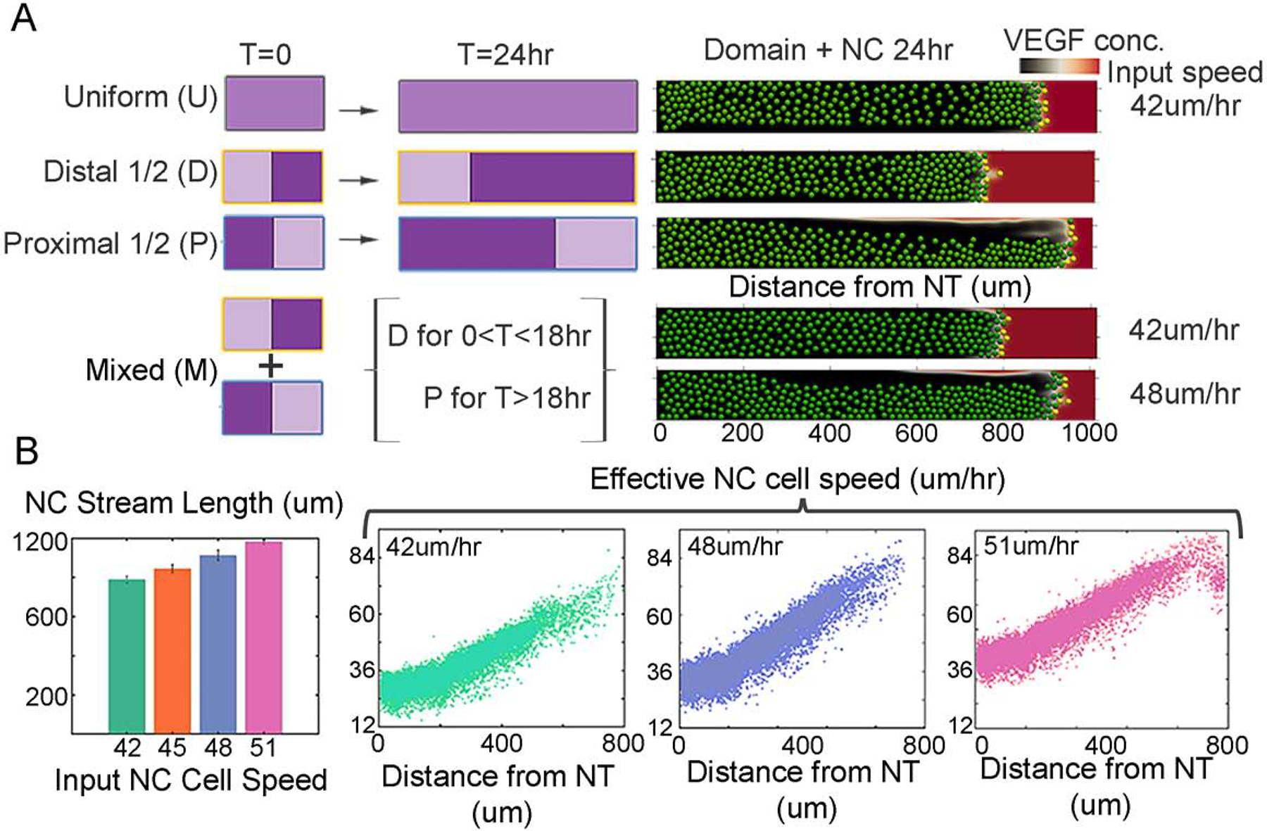 Figure 6: