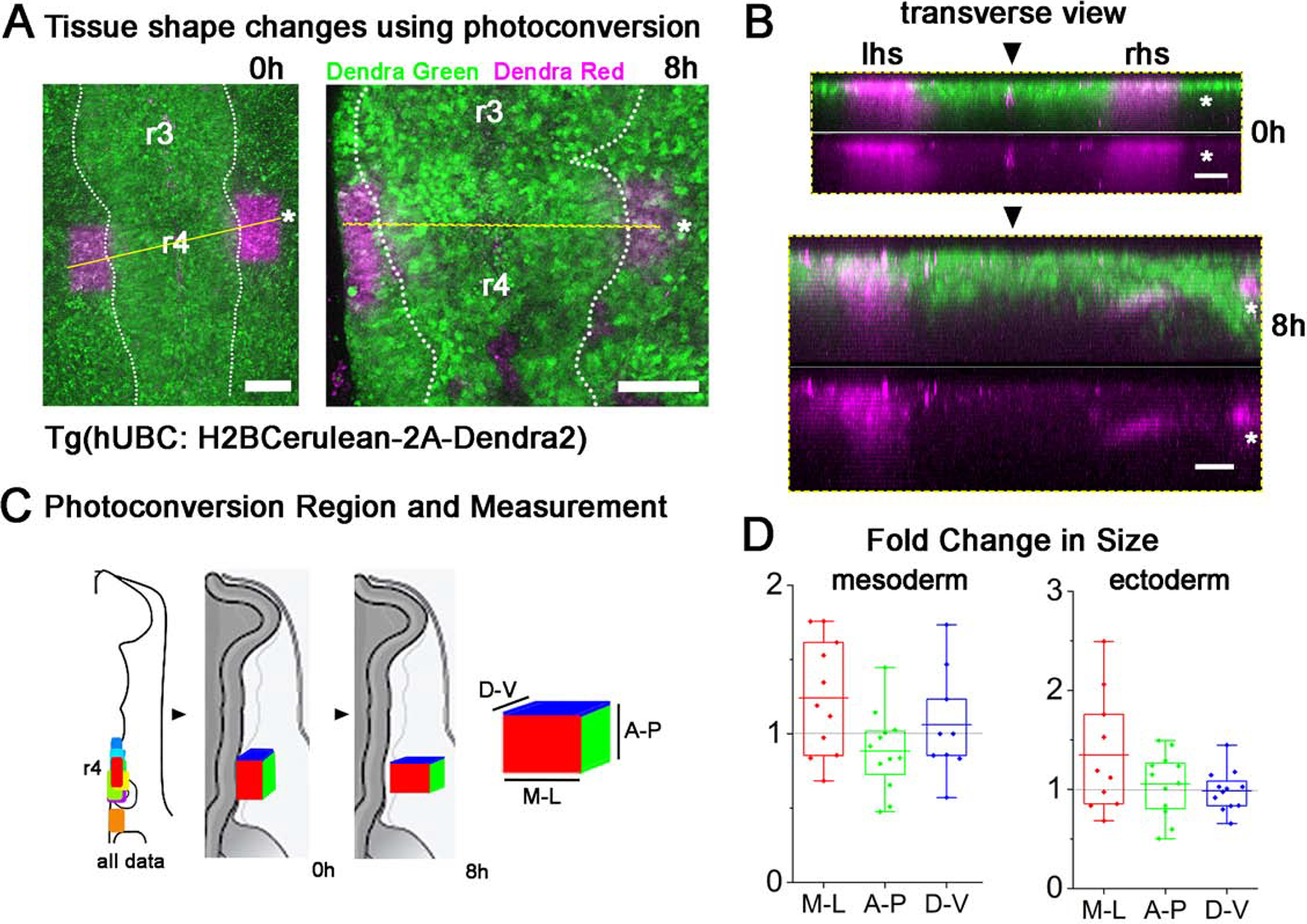 Figure 3: