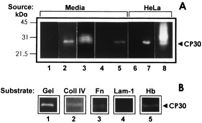 FIG. 5