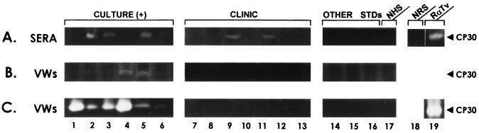 FIG. 7