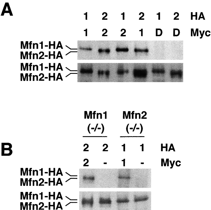 Figure 9.