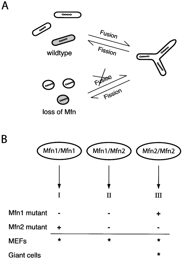 Figure 10.