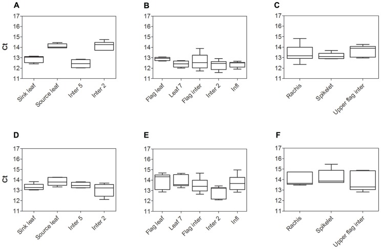 FIGURE 1