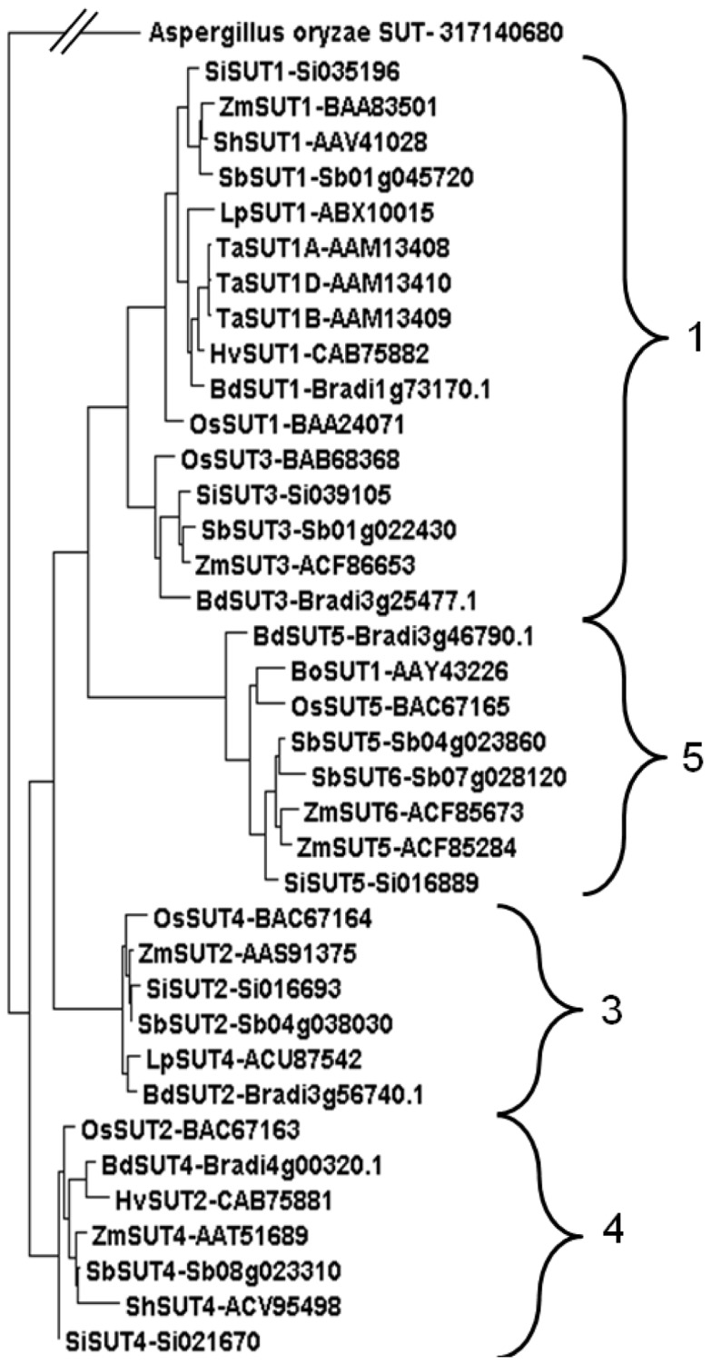 FIGURE 3