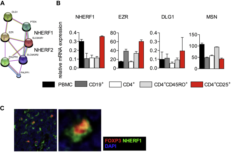 Fig E9