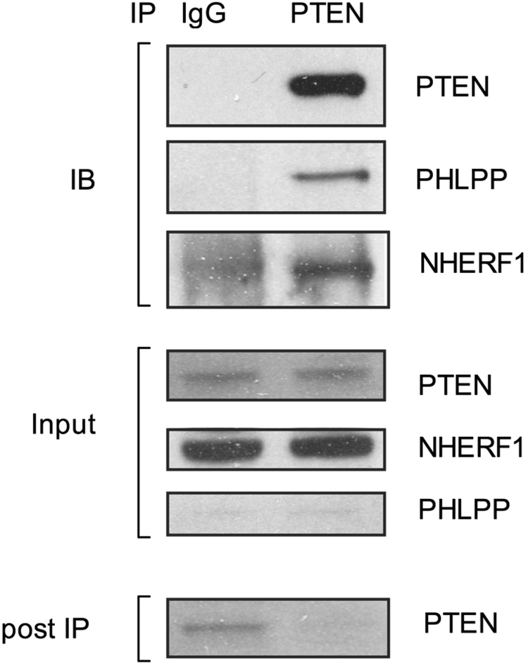 Fig E10