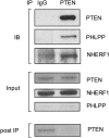 Fig E10