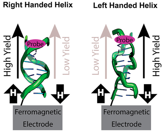 Figure 6.