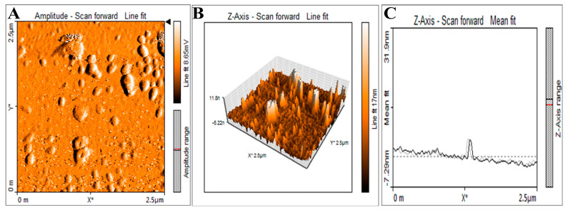 Figure 6