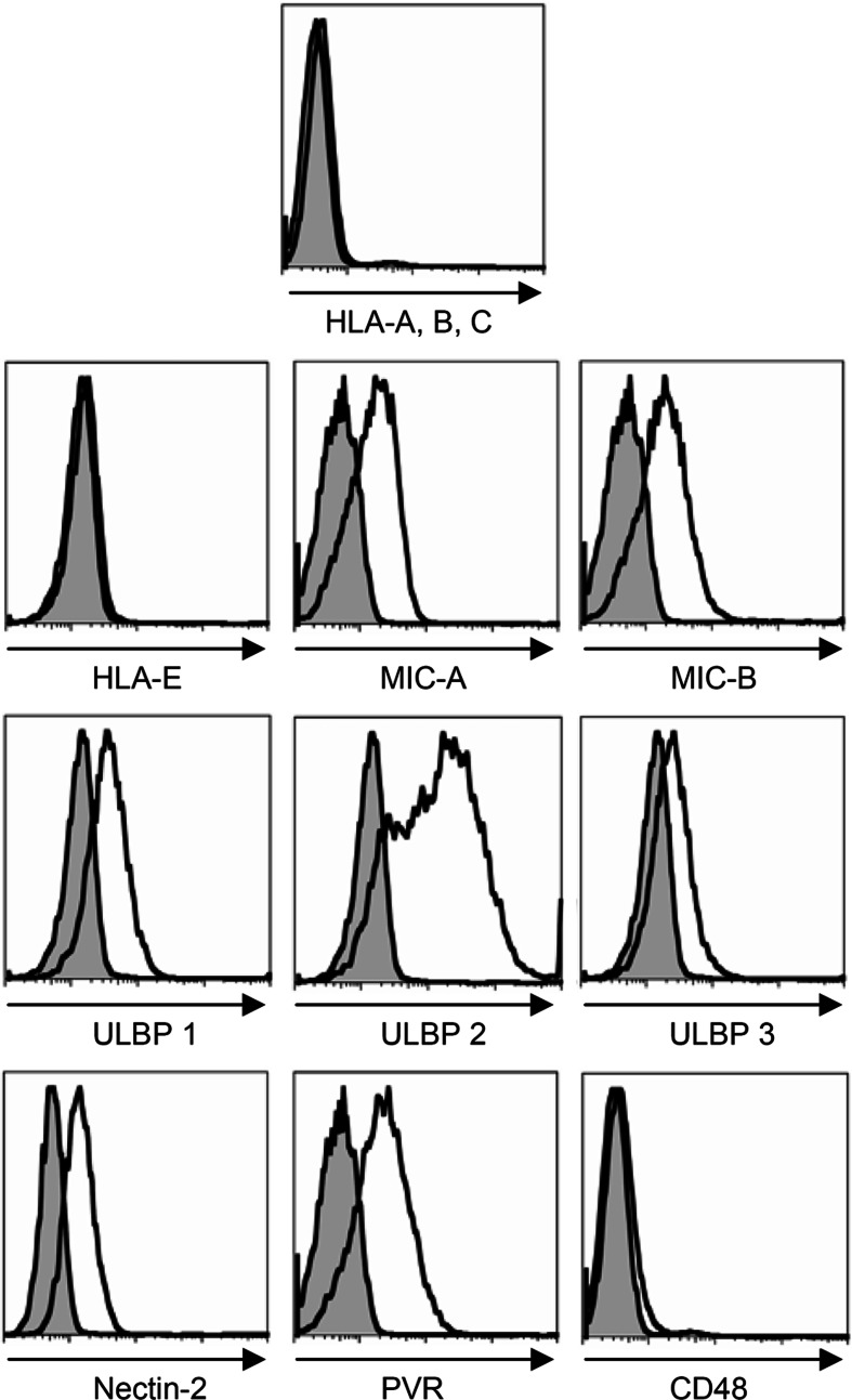 Fig. 6