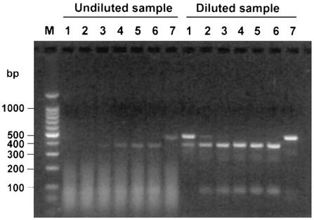 FIG. 5.